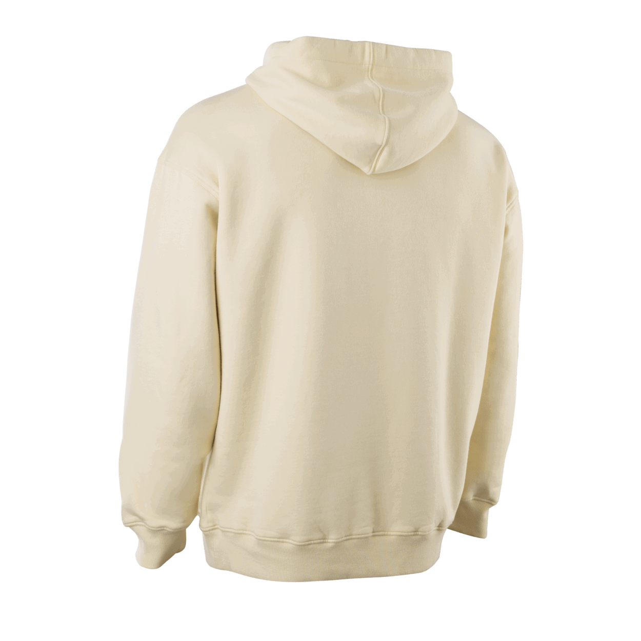 ION Hoody IONIC Men 2025