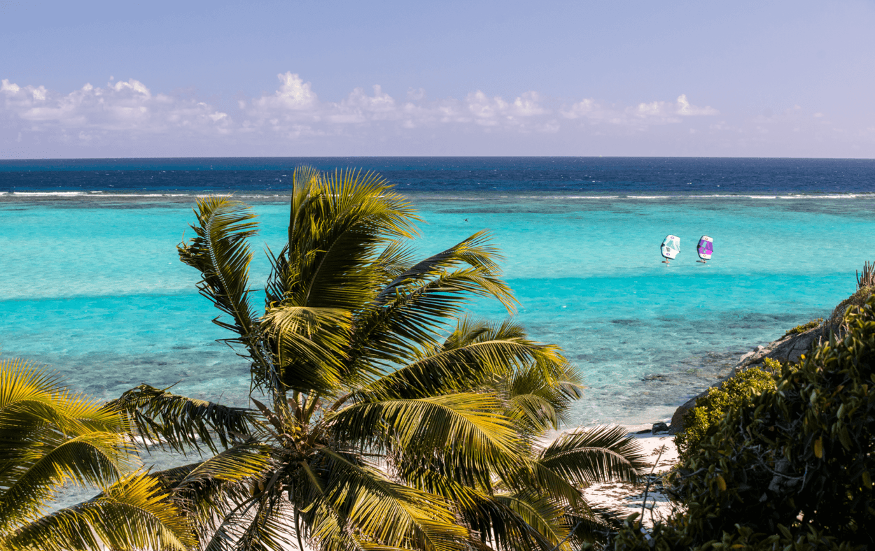 Duotone Slick 2021 2021